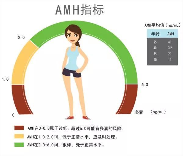 AMH参考值