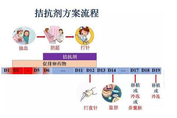 试管促排之抗结剂方案